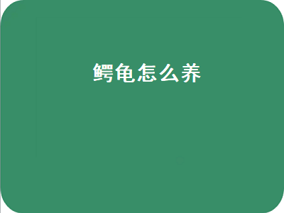 鳄龟怎么养（鳄龟怎么养长得快）