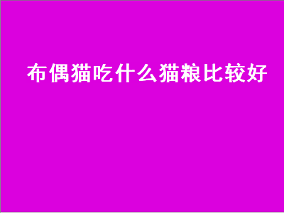 布偶猫吃什么猫粮比较好（布偶猫吃什么猫粮比较好贵的）