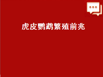 虎皮鹦鹉繁殖前兆（虎皮鹦鹉繁殖前兆持续多久才下蛋）