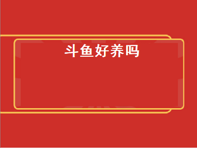 斗鱼好养吗（中国斗鱼好养吗）