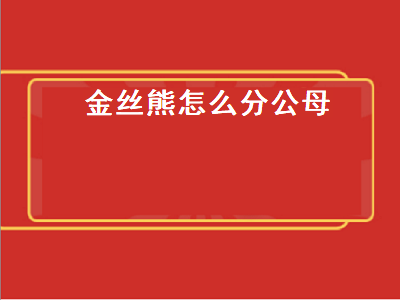 金丝熊怎么分公母（金丝熊怎么分公母图片）