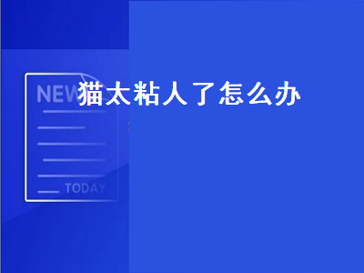 猫太粘人了怎么办（缅因猫太粘人了怎么办）