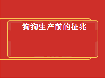 狗狗生产前的征兆（狗狗生产前的征兆视频）