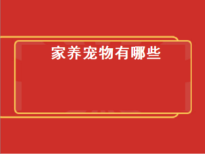 家养宠物有哪些（家里养什么宠物好）