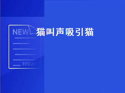 猫叫声吸引猫（猫叫声吸引猫专用音频）