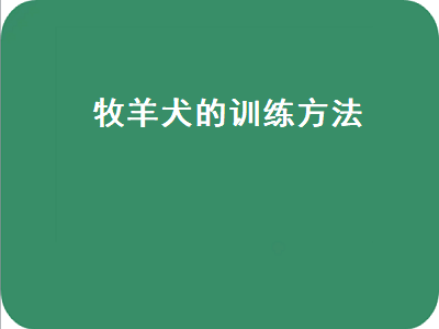 牧羊犬的训练方法（牧羊犬的训练方法视频）