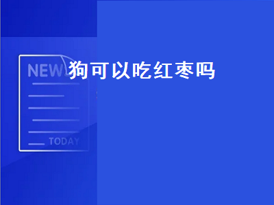 狗可以吃红枣吗（泰迪狗可以吃红枣吗）