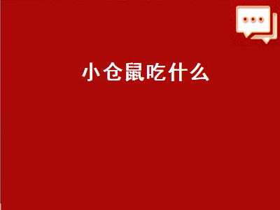 小仓鼠吃什么（小仓鼠吃什么喝什么）