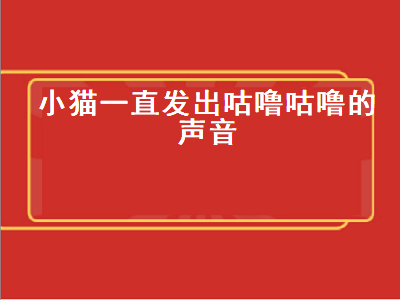 小猫一直发出咕噜咕噜的声音（小猫一直发出咕噜咕噜的声音不停）