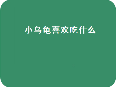 小乌龟喜欢吃什么（小乌龟喜欢吃什么东西）