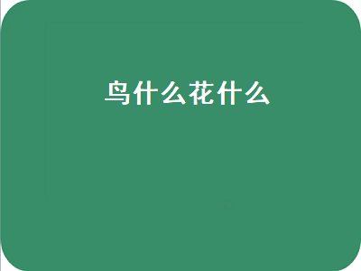 鸟什么花什么（鸟什么花什么的成语）