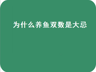 为什么养鱼双数是大忌（为什么养鱼双数是大忌办公室如何摆放鱼缸）