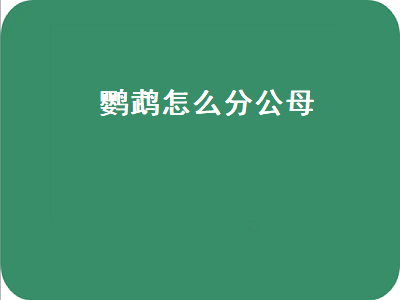 鹦鹉怎么分公母（鹦鹉怎么分公母图解）