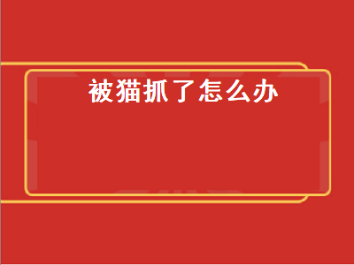 被猫抓了怎么办（被猫抓了怎么办出血了）