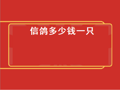 信鸽多少钱一只（信鸽多少钱一只2019）