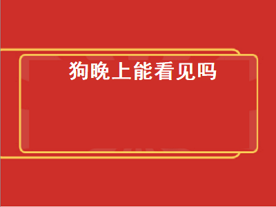 狗晚上能看见吗（猫和狗晚上能看见吗）