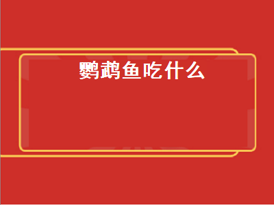 鹦鹉鱼吃什么（鹦鹉鱼吃什么长得快,颜色好）