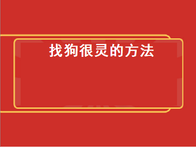 找狗很灵的方法（找狗很灵的方法算卦）