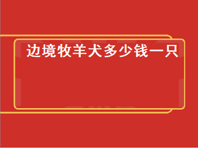 边境牧羊犬多少钱一只（边境牧羊犬价格多少钱一只）