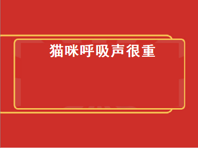 猫咪呼吸声很重（猫咪呼吸声很重像鼻塞）