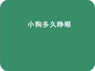 小狗多久睁眼（小狗多久睁眼多久走路）