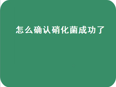 怎么确认硝化菌成功了（怎么确认硝化菌成功了视频）