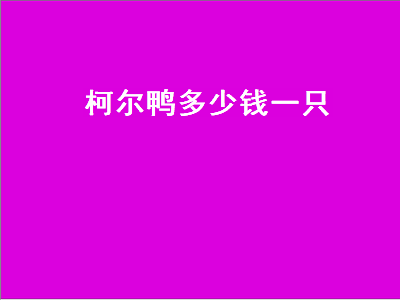 柯尔鸭多少钱一只（幼年柯尔鸭多少钱一只）