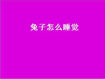 兔子怎么睡觉（兔子睡觉闭眼睛吗）