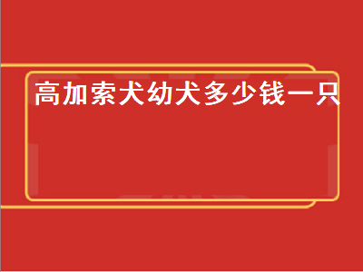 高加索犬幼犬多少钱一只（纯种高加索犬幼犬多少钱一只）