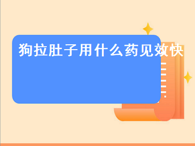 狗拉肚子用什么药见效快（博美狗拉肚子用什么药见效快）