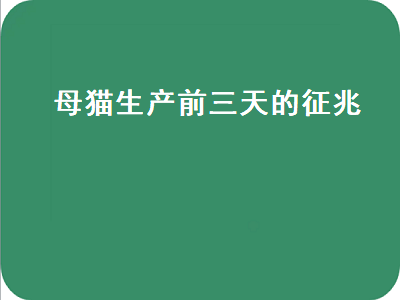 母猫生产前三天的征兆（母猫生产前三天的征兆图片）