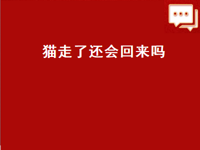 猫走了还会回来吗（流浪猫走了还会回来吗）