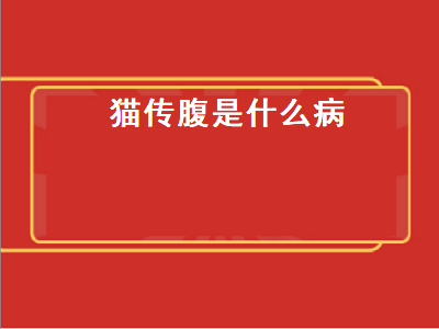 猫传腹是什么病（猫传腹是什么病能治愈吗）