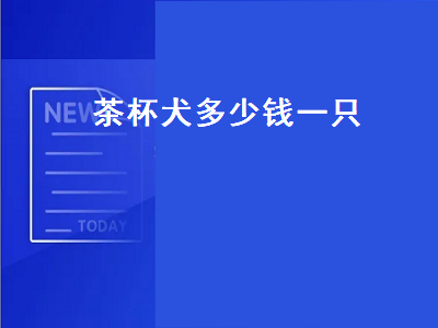 茶杯犬多少钱一只（茶杯犬多少钱一只白色）