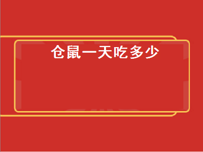 仓鼠一天吃多少（仓鼠一天吃多少克鼠粮）