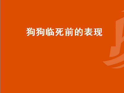 狗狗临死前的表现（狗狗临死前的表现10天）