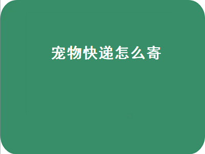 宠物快递怎么寄（宠物快递怎么寄价格表）