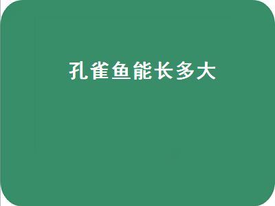 孔雀鱼能长多大（孔雀鱼能长多大,能活多久）