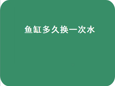 鱼缸多久换一次水（有过滤的鱼缸多久换一次水）