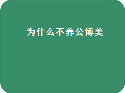 为什么不养公博美（为什么不能养公博美）