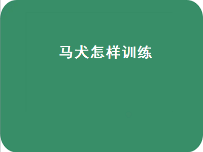 马犬怎样训练（马犬怎样训练才听话）