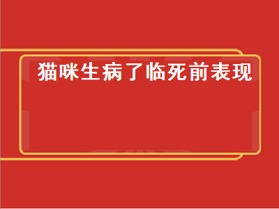 猫咪生病了临死前表现（猫咪生病了临死前表现尾巴直了）