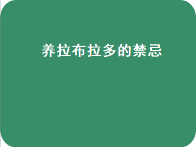 养拉布拉多的禁忌（拉布拉多最难养的阶段）