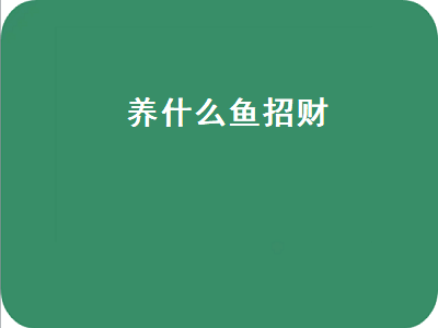 养什么鱼招财（养什么鱼招财转运）