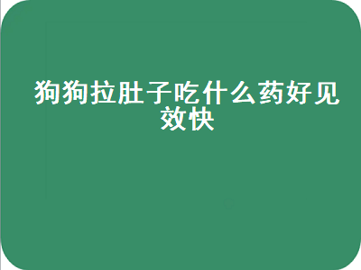 狗狗拉肚子吃什么药好见效快（狗狗拉肚子吃什么药好见效快多少钱）