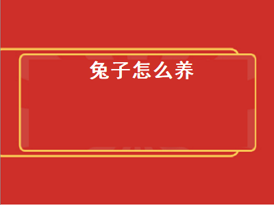 兔子怎么养（兔子怎么养它会和你熟）