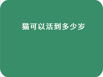 猫可以活到多少岁（猫可以活到多少岁的正确答案）