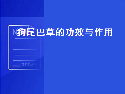 狗尾巴草的功效与作用（狗尾巴草的功效与作用图片）