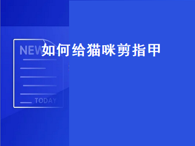 如何给猫咪剪指甲（如何给猫咪剪指甲视频）