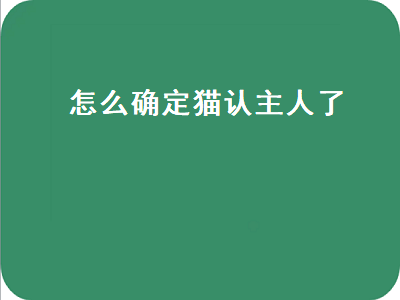 怎么确定猫认主人了（怎么确定猫认主人了新来家里三天）